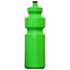 Budget Bottles Light Green